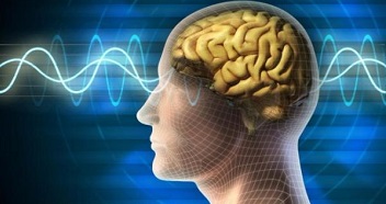 Наркомания: Исследование мозга человека