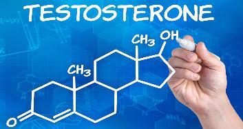 Тестостерон продлевает мужчинам жизнь