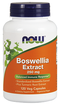 NOW Boswellia, Босвеллия Экстракт 250 мг - 120 капсул